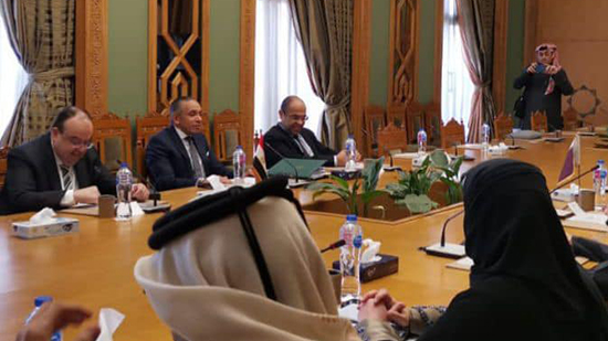  انعقاد الاجتماع الأول للفرق المصرية القطرية المعنية بالشؤون الإقليمية